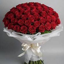 Букет 101 Красная роза Блэк Мэджик в Шудаяге