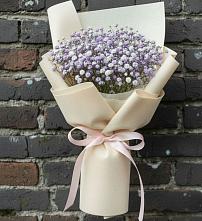 Букет цветов из:  Гипсофила #REPLACE_PRED# Шудаяге