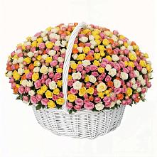 Премиум букет из: Розы в Шудаяге