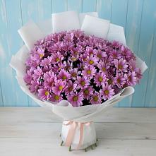 Букет цветов из:  Хризантемы в Шудаяге