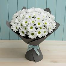 Букет цветов из:  Хризантемы #REPLACE_PRED# Шудаяге