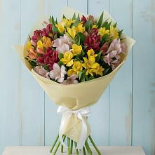 Букет цветов из:  Альстромерии в Шудаяге