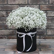 Цветочная композиция из Гипсофила в шляпной коробке в Шудаяге